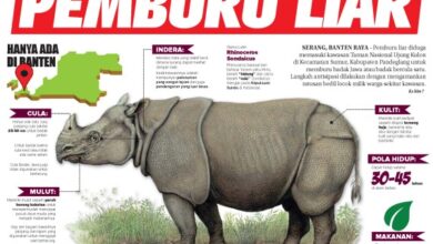 4 Agustus 2023 Epaper Banten Raya